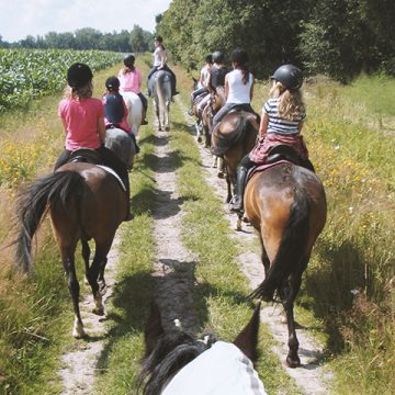Ponykamp-18